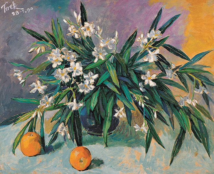 《夹竹桃与甜橙》